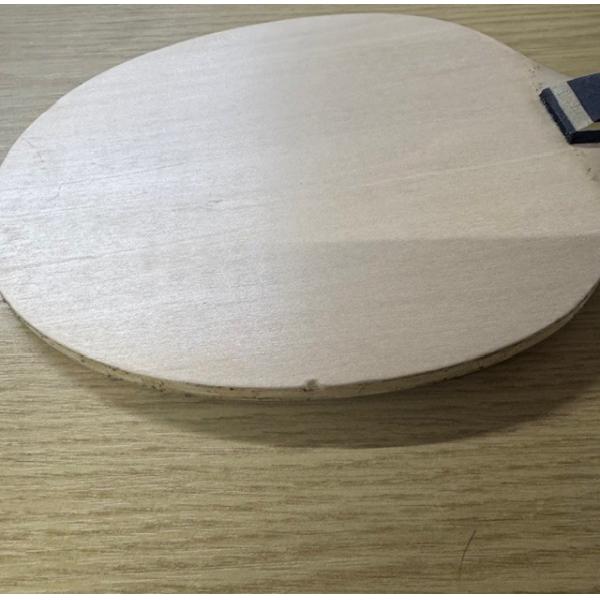 EX DEMO - TSP EURO CLASSIC TABLE TENNIS BLADE - Image 5