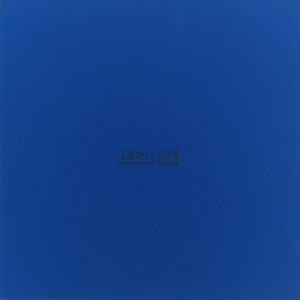 FRIENDSHIP ZHL BLUE SPONGE ONLY